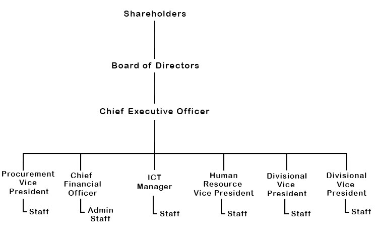 A large American company’s organisational structure could look like the following